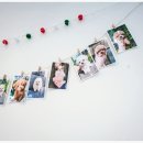 동물병원 퍼피하우스 이미지