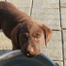 올림푸스원 이미지