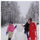 가족, 친구, 동료들과의 행복한 겨울을 "양평 포레스트펜션"에서... 이미지