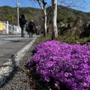 4월8일 토요일 정기산행 제천 작은 동산 산행 이미지