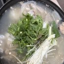 대진항식당 이미지