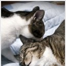 그래 거기 이미지