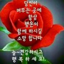 건강하세요