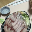 일성상회 | 방어맛집 | 노량진 일성수산 | 노량진방어맛집 _ 내돈내산 배달후기