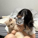 이불 왕 도매 | 이불속이 온통 겨울이였다