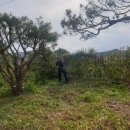 해피농장 이미지