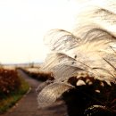 서창파출소 이미지