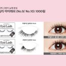 데일리아이래쉬 이미지