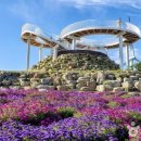 신원면 과정리 이미지