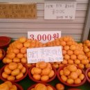 2025년 여자들끼리 절대 실패 없는 연말 카톡선물 낋여봄 이미지