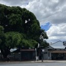 대왕세탁소 이미지