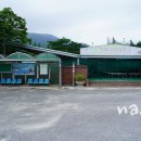 465. 칠곡 경북과학대학교 대학탐방 : 미스터리한 경북외국어대의 옛 주인