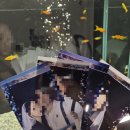코코정비 | 홍대이색데이트 추천! 코코필름홍대사진관에서 어항 샷 찍고 인생샷 건진 솔직 후기