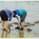 용신16 이미지