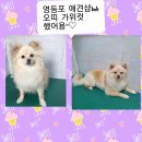 BOB영등포점 이미지