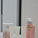 바디플라워 | 생화향 고보습 퍼퓸바디로션 럽센트 플라워마켓 바디로션 핸드크림 사용후기