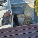 웰빙(자연)음식 | 부모님 모시고가면 칭찬들을 울산 울주군 서생면 맛집 웰빙쌈밥 후기