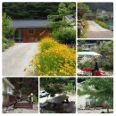 봉화황토민박 이미지