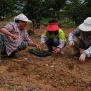 바라농장 이미지