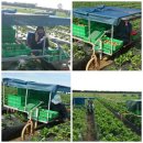 구인농장 이미지