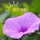 추풍령ㅡ모란시장 엿장수 노래ㅡ 상모 돌리기ㅡ모란시장 엿장수ㅡ 이미지