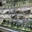 태안정육마트 이미지