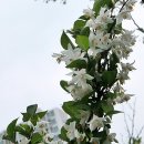 농업체험공원 이미지