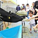 지평선목장 이미지