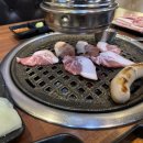 싱싱꼬기 이미지