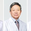 월드메디 이미지