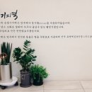 순흥기지떡 영주점 이미지