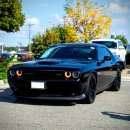 신용카서비스 이미지