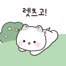 수내시립테니스장 이미지