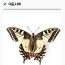 함평나비대축제 이미지