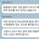24시청호열쇠방충망 | [어쩌다 보니 3개월 워홀 생활...?] 하루 만에 집 구하기