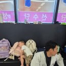 최강국가대표태권도 네이버블로그