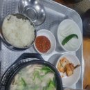 봉암꿀돼지국밥냉밀면
