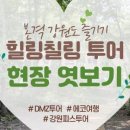 협동조합 강원피스투어 이미지