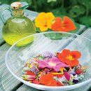 허브이야기 이미지