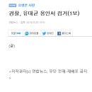 (황당뉴스)검찰 유병언 아들 유대균 검거 이미지