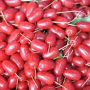 보리수한의원 이미지