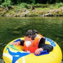 구나무촌 유원지 이미지