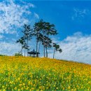 포리 소공원 이미지