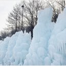 알프스마을영농조합법인 이미지