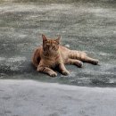 친구 집들이 다녀온 거랑 그냥 근황 (뜻밖에 스압)