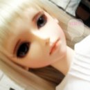 신비로-11 이미지