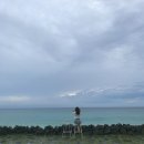 아라큰약국 이미지