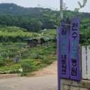 천수텃밭농원 네이버블로그