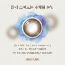 톤그로 없는 데일리 렌즈 추천! 렌시스 마리나 초코 원데이 vs 먼슬리 비교