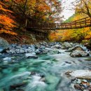 문 아트공예협회 이미지